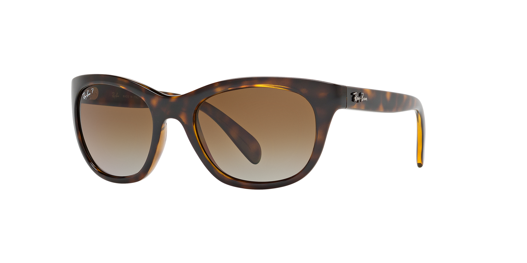 ray ban wayfarer rb