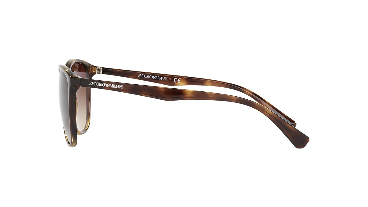Emporio Armani EA4073 56 Gradient Brown & Shiny Havana Sunglasses 