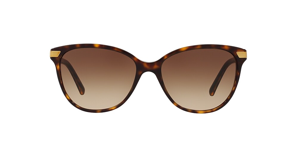 Dark havana outlet sunglasses