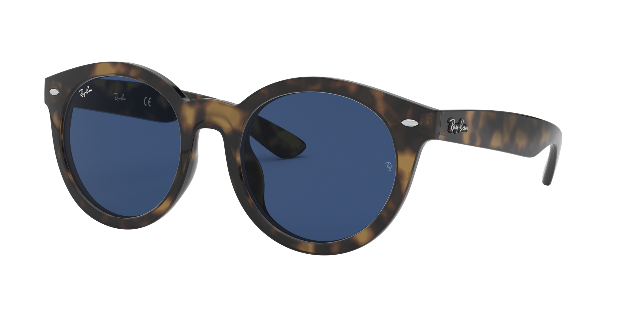 blue tortoise sunglasses