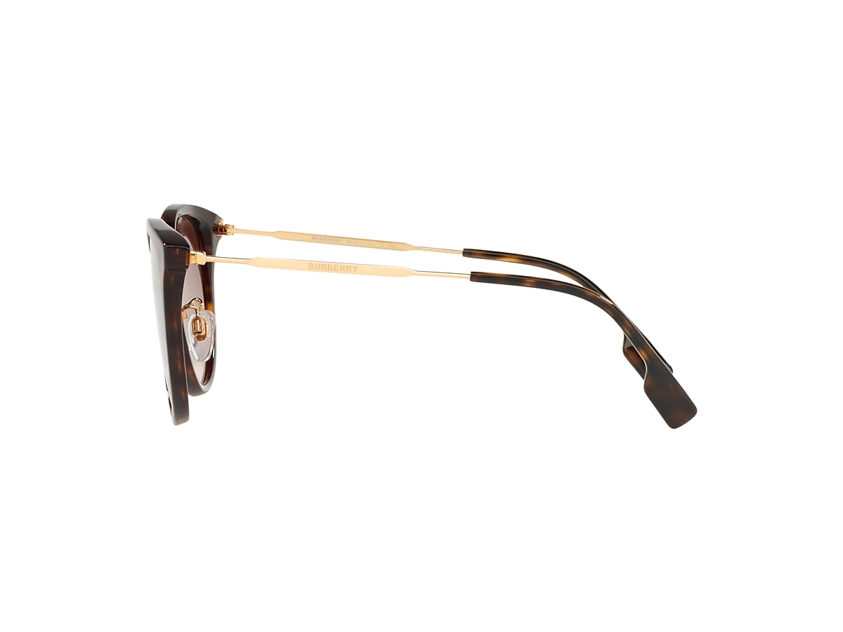 Burberry BE4289D XL (56 - 20) with Brown lenses and Brown