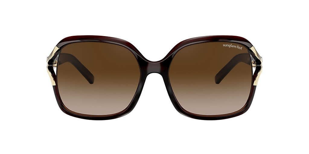 Sunglass Hut Collection HU2002 58 Brown Gradient & Tortoise Sunglasses ...