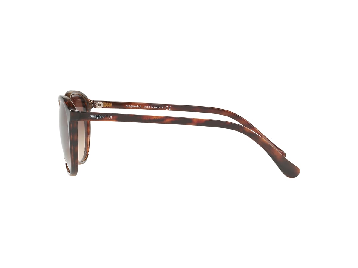 Sunglass Hut Collection HU2003 55 Gradient Brown & Striped Havana Sunglasses