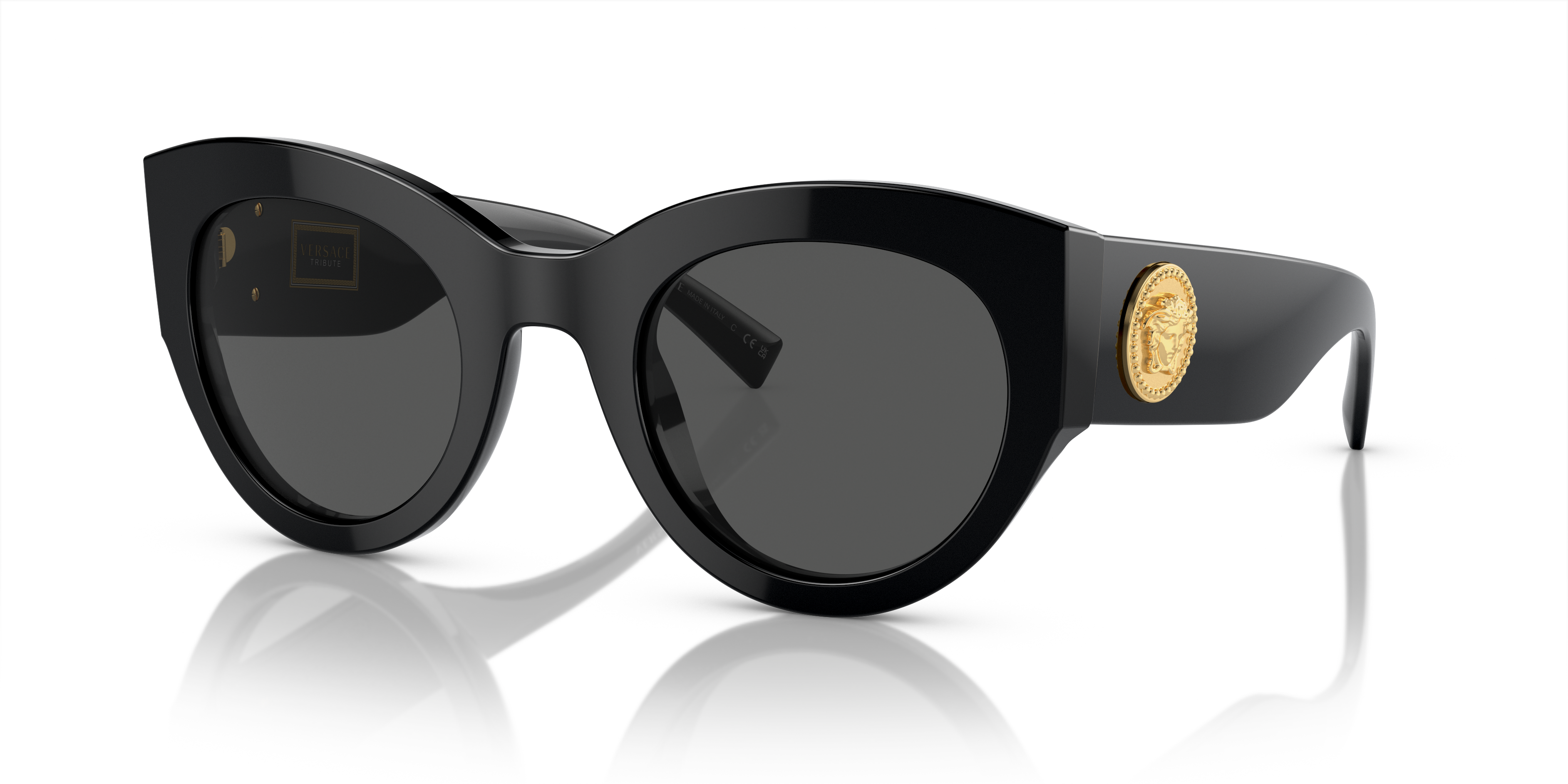 Versace VE2226 Shield Sunglasses | Fashion Eyewear US