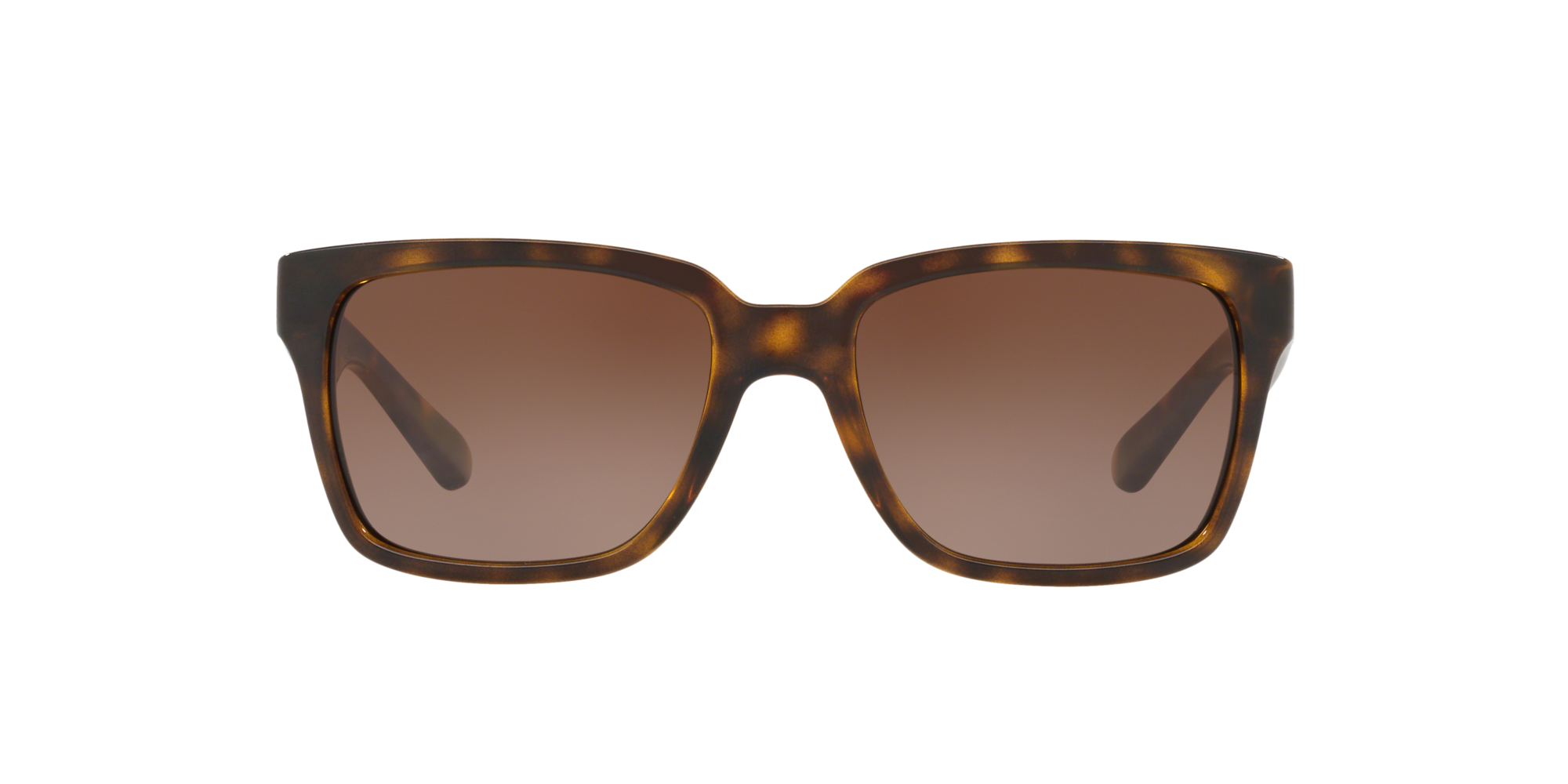 SUNGLASS HUT COLLECTION SUNGLASS HUT COLLECTION UNISEX SUNGLASS HU2012