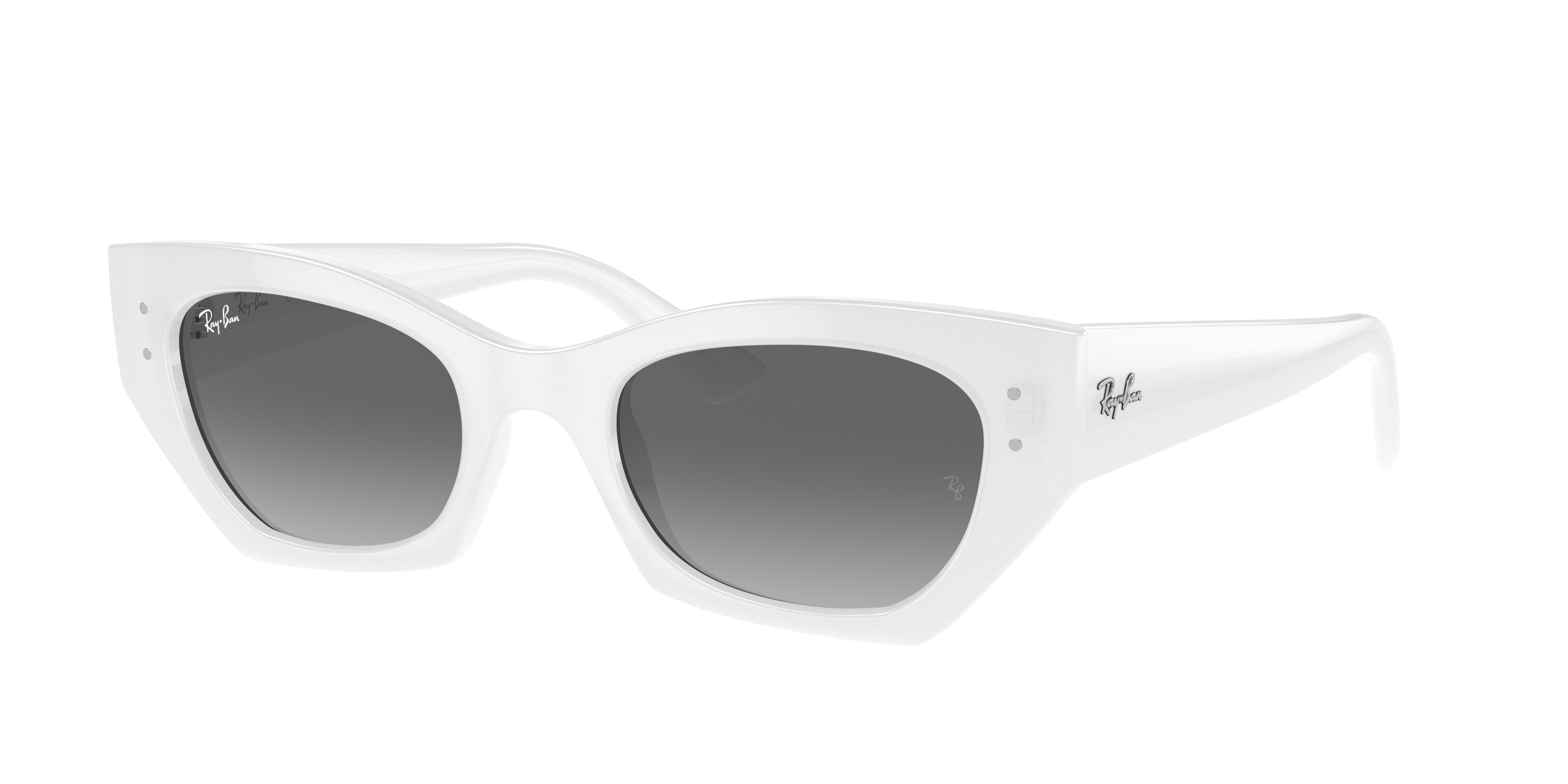 Ray Ban Ray In Grey