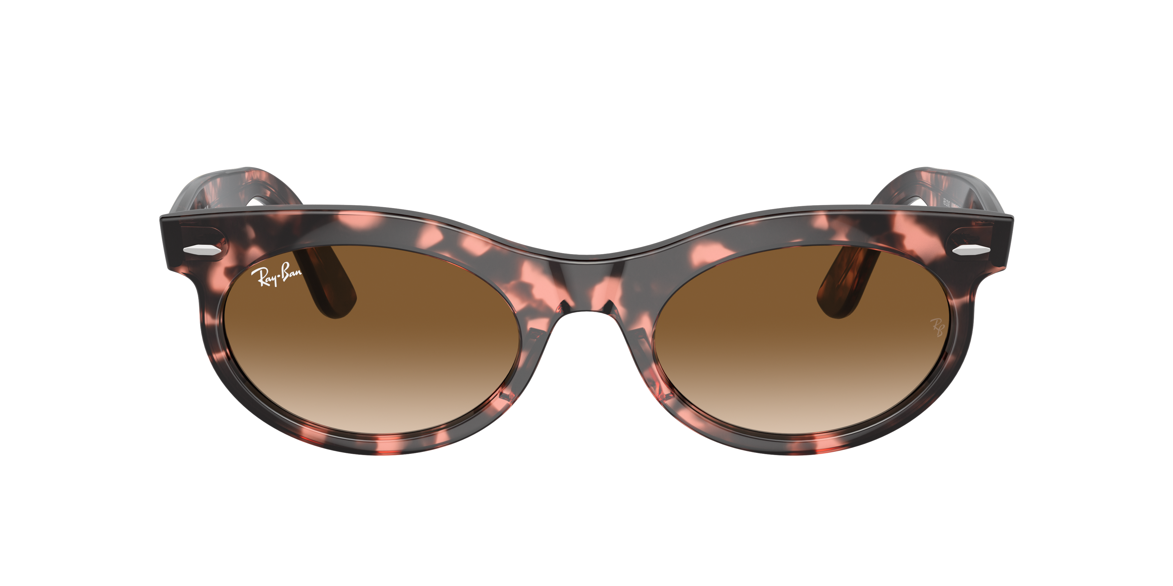 Ray Ban Ray In Clear & Brown