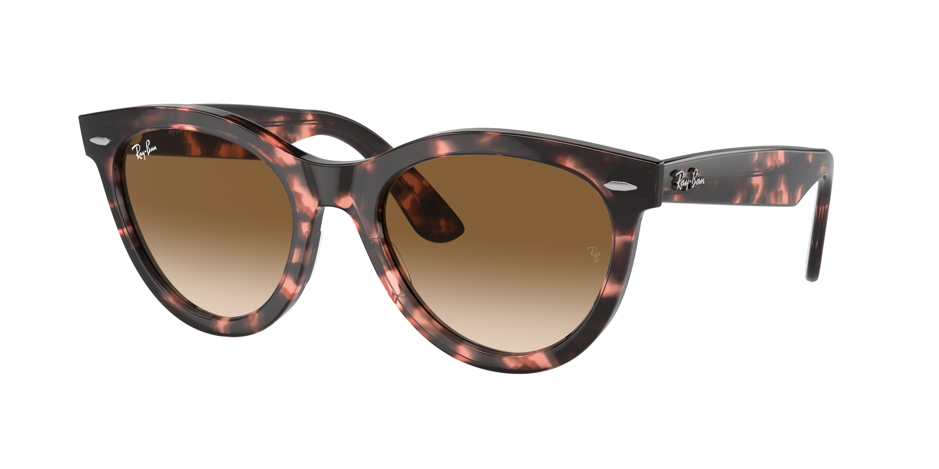 Ray Ban Ray In Clear & Brown