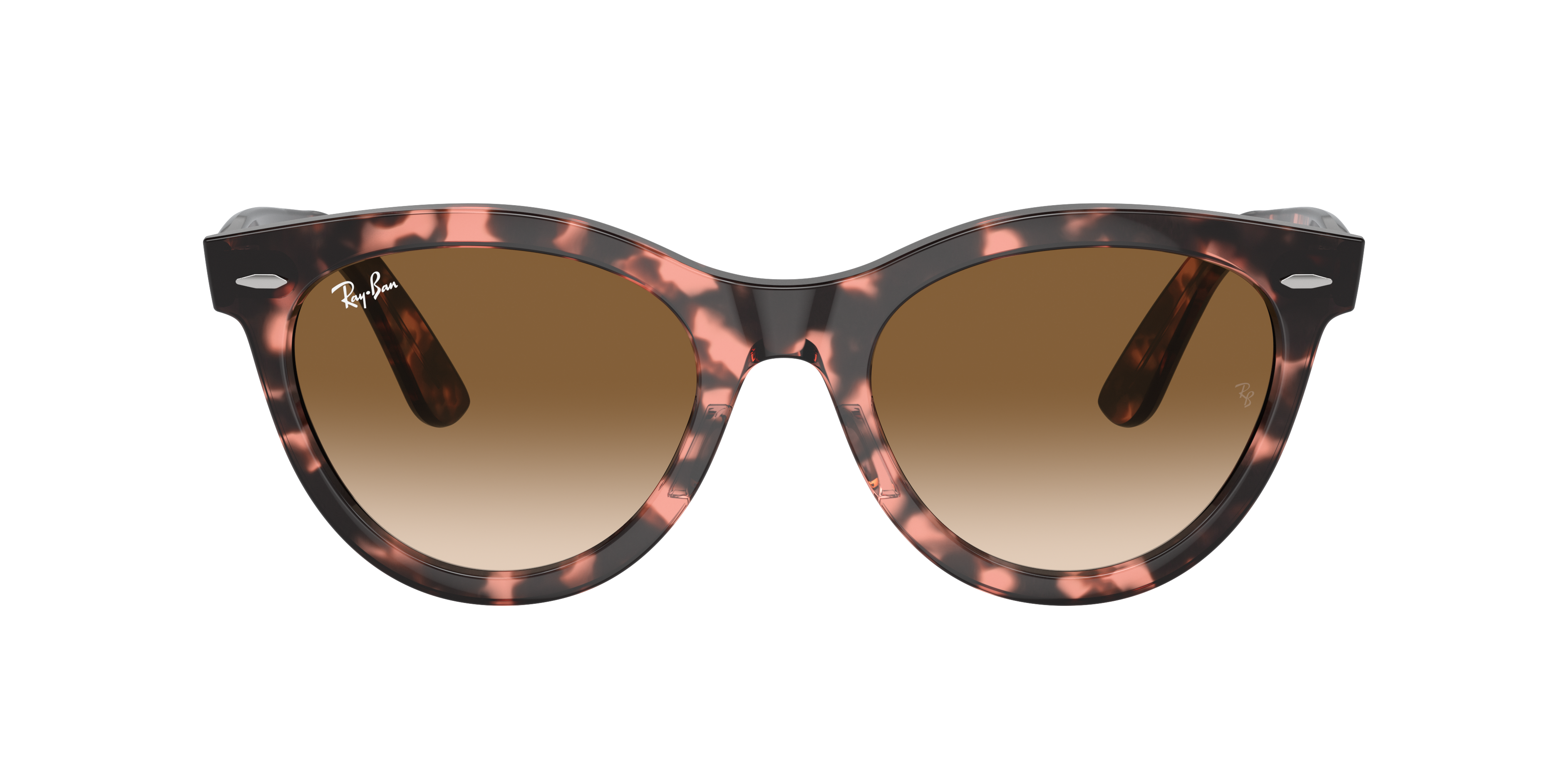 Ray Ban Ray In Clear & Brown