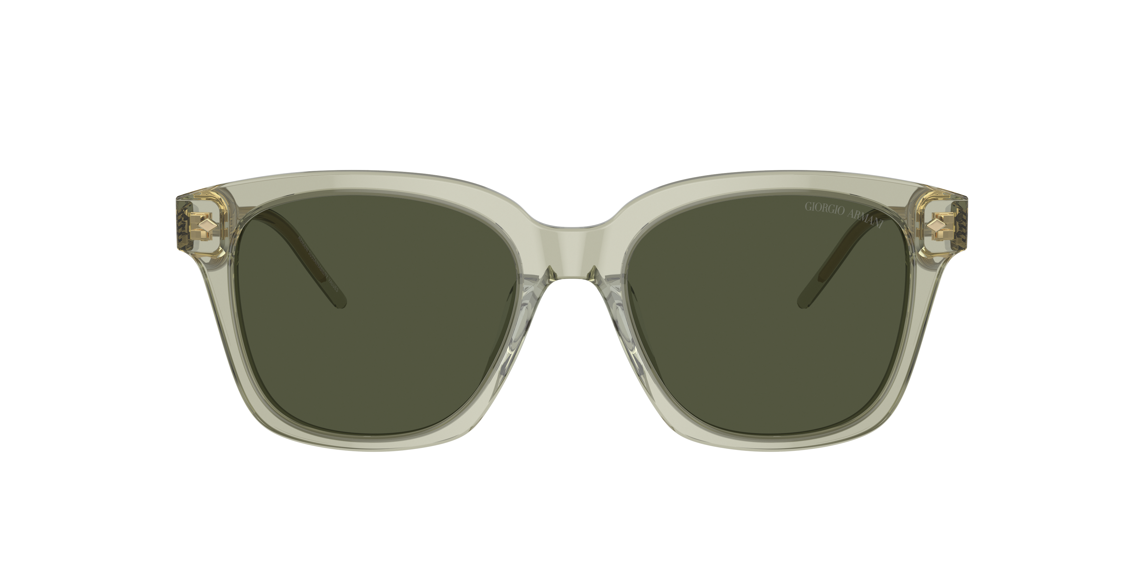 Shop Giorgio Armani Woman Sunglass Ar8210u In Green