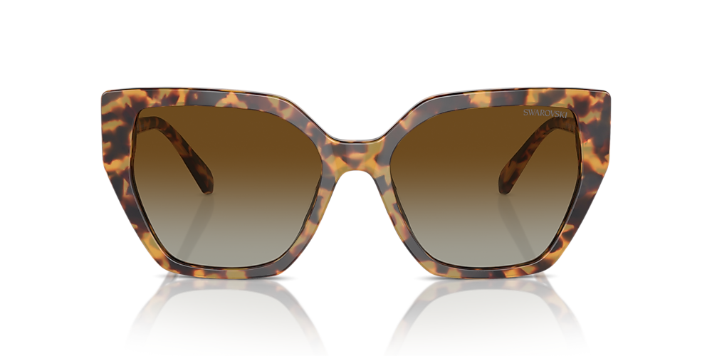 Swarovski SK6016 56 Brown & Medium Havana Polarized Sunglasses