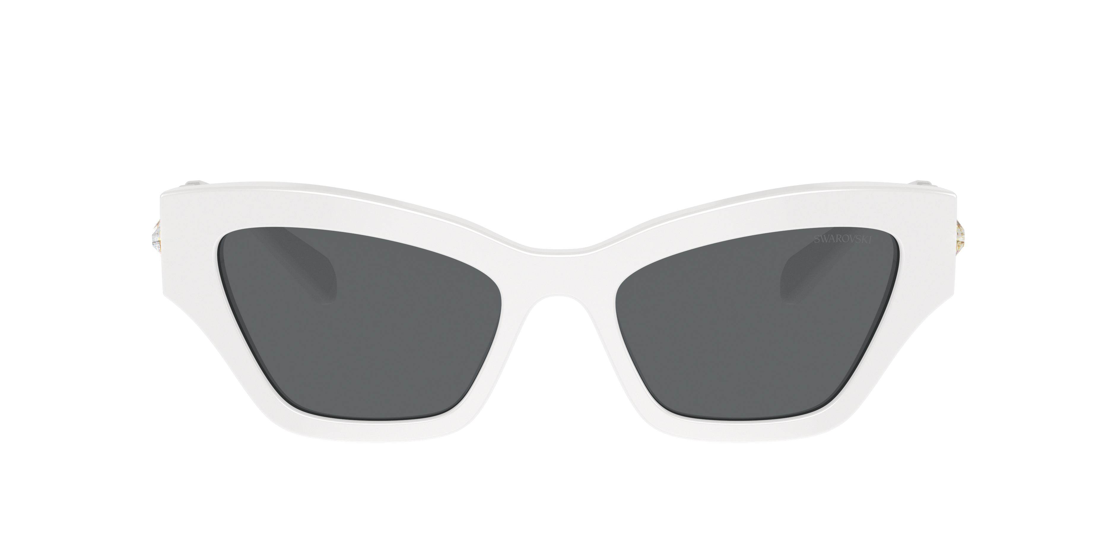 Swarovski Woman Sunglass Sk6021 In Dark Grey