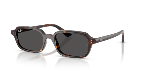 Óculos de sol Ray-Ban Zuri Bio-based RB4455, formato cat-eye, armação em acetato havana, lente cinza-escuro