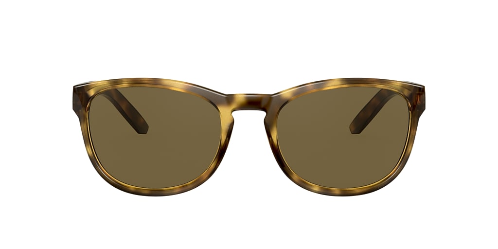 Sunglass Hut Collection HU2015 57 Brown & Tortoise Sunglasses