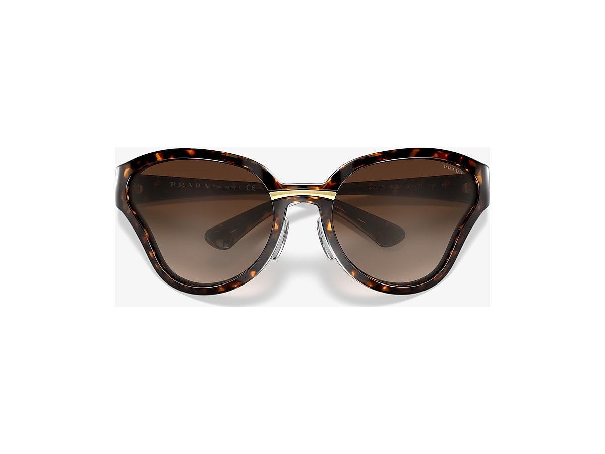 Prada PR 22VS CATWALK 68 Brown Gradient & Havana Sunglasses | Sunglass Hut  United Kingdom