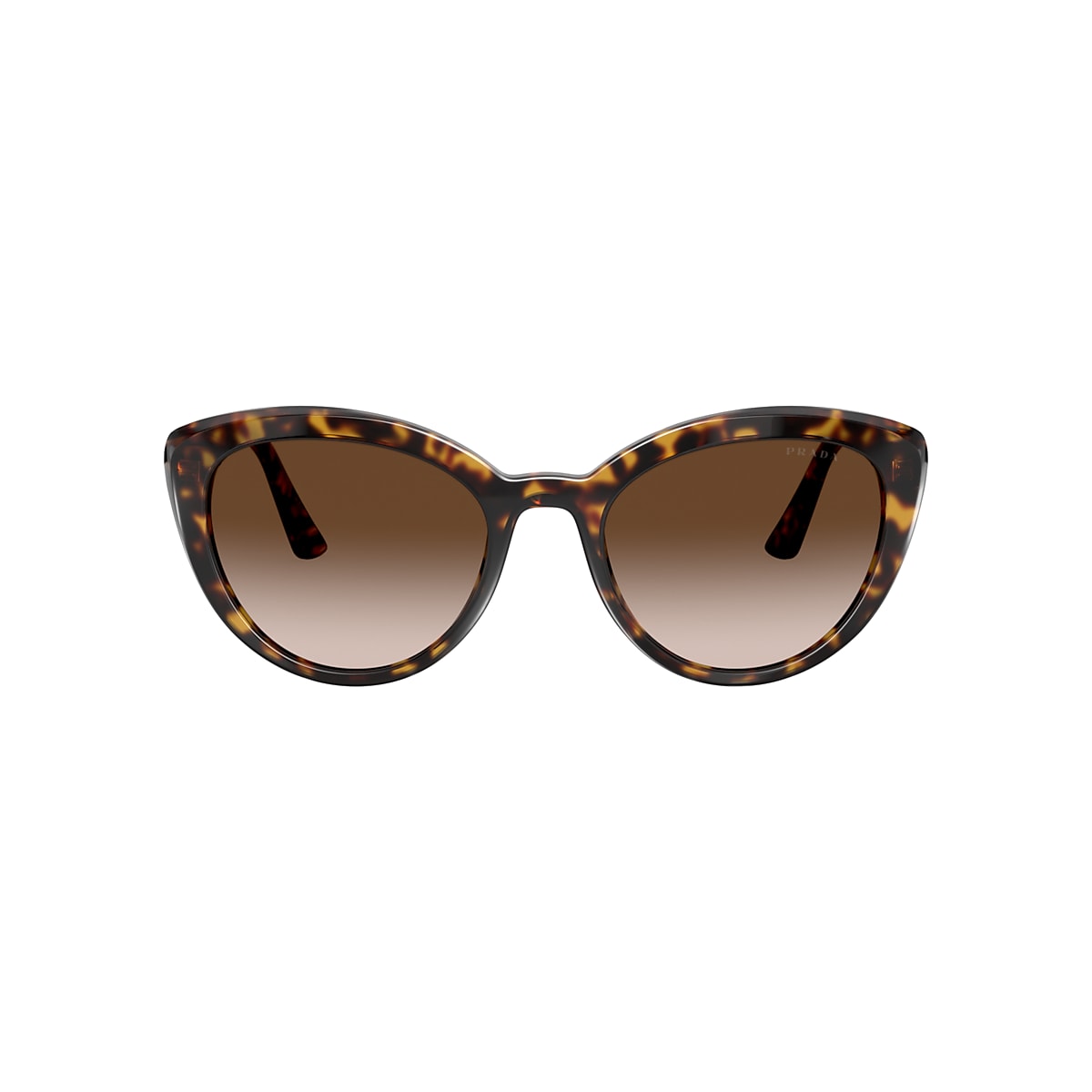 Prada PR 02VS Catwalk 54 Brown Gradient & Havana Sunglasses | Sunglass Hut  United Kingdom