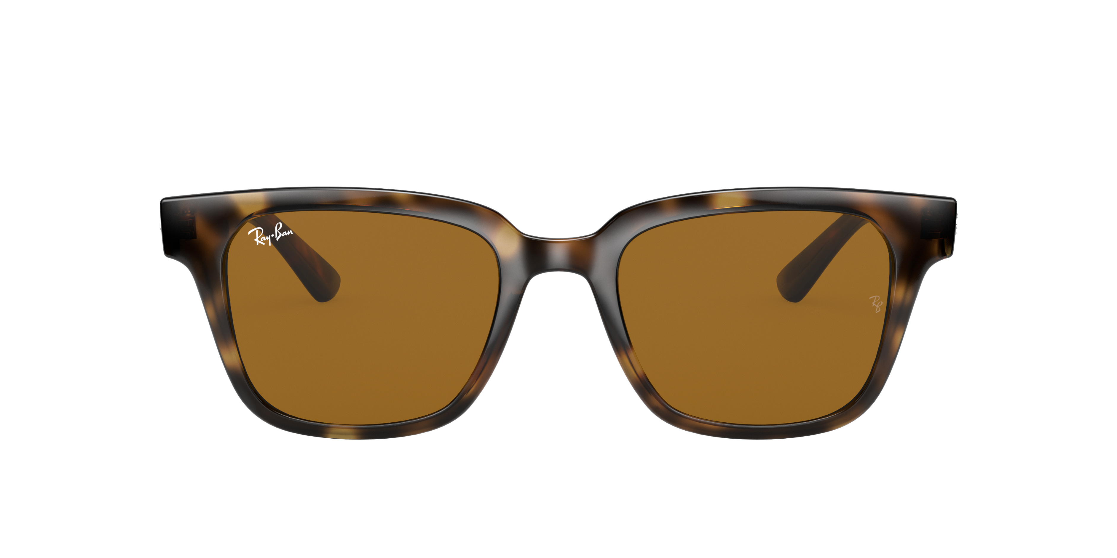 Ray Ban Ray In Braun Klassisch B-15