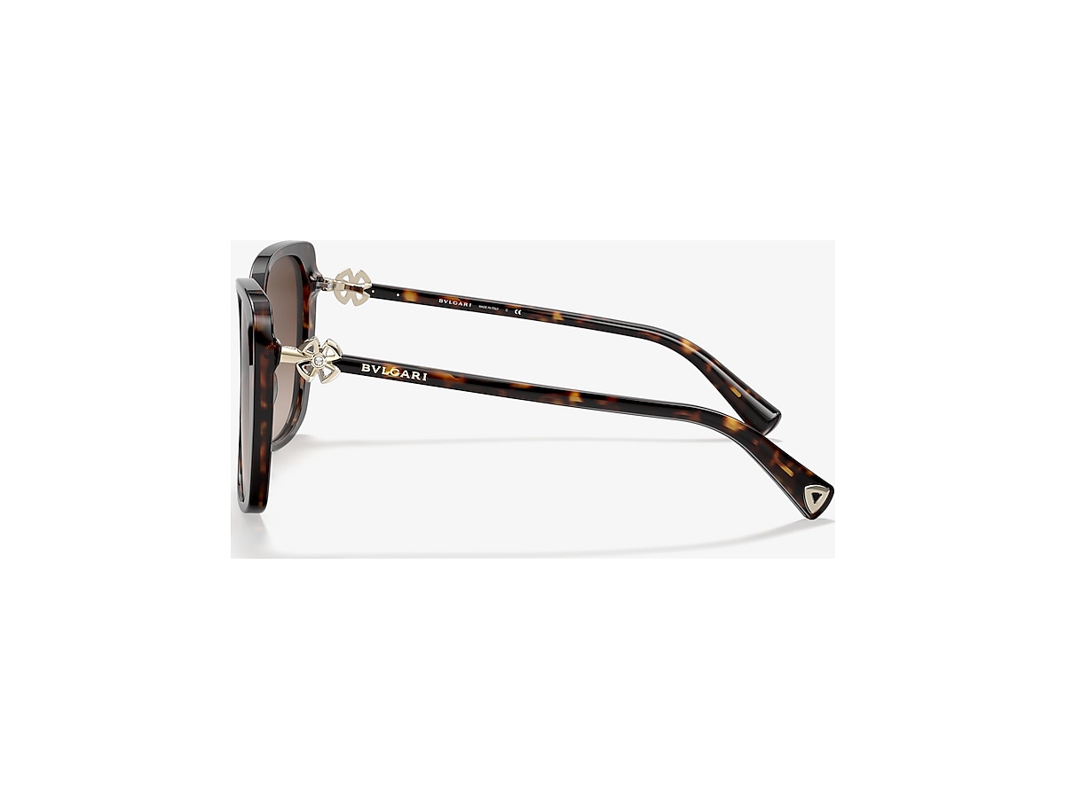 Bvlgari sunglasses tortoise online shell