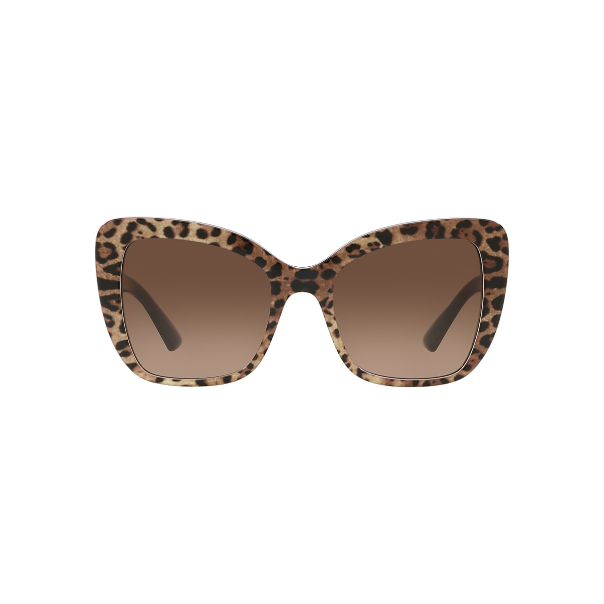 Dolce and discount gabbana cheetah sunglasses