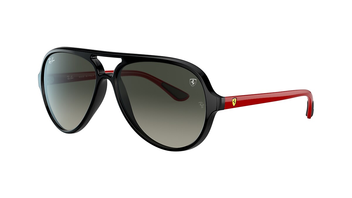 Ray sale ban 4125