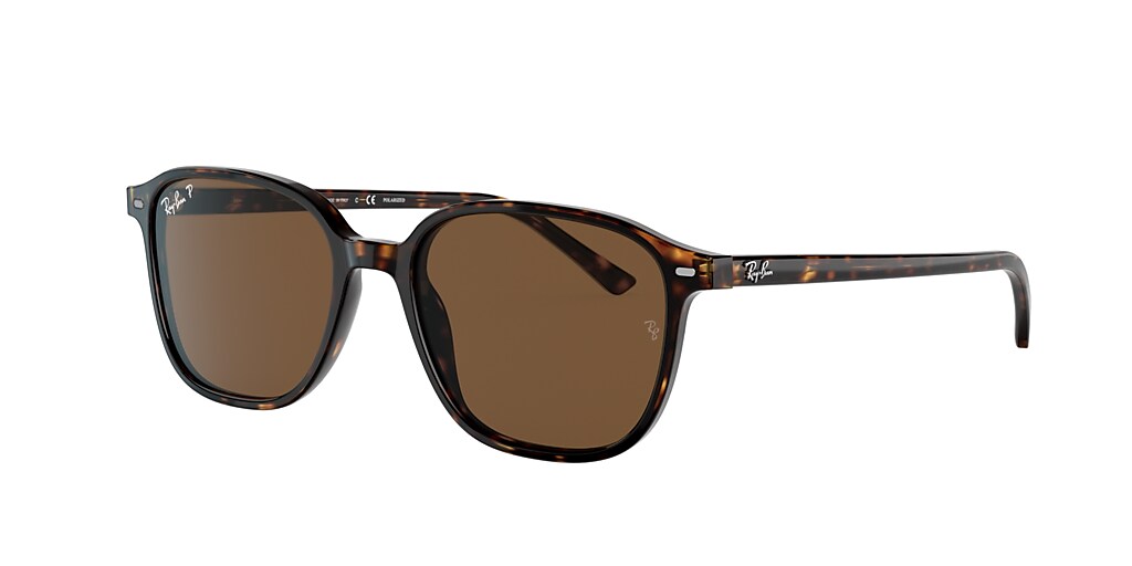 Ray-Ban RB2193 LEONARD 53 Brown & Tortoise Polarised Sunglasses ...