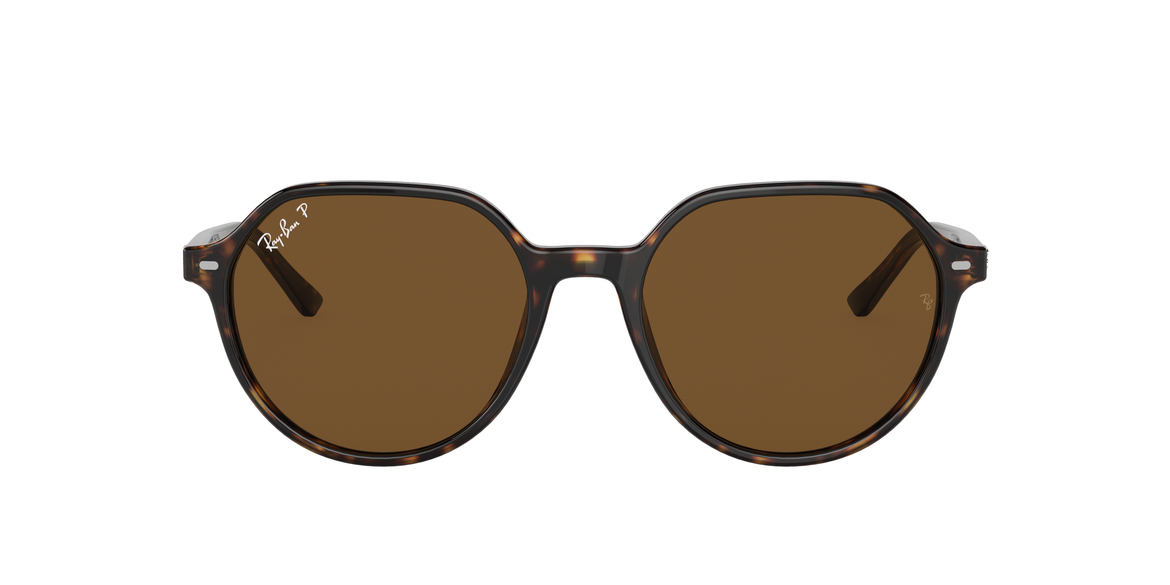 Ray Ban Ray In Polarized Brown Classic B-15