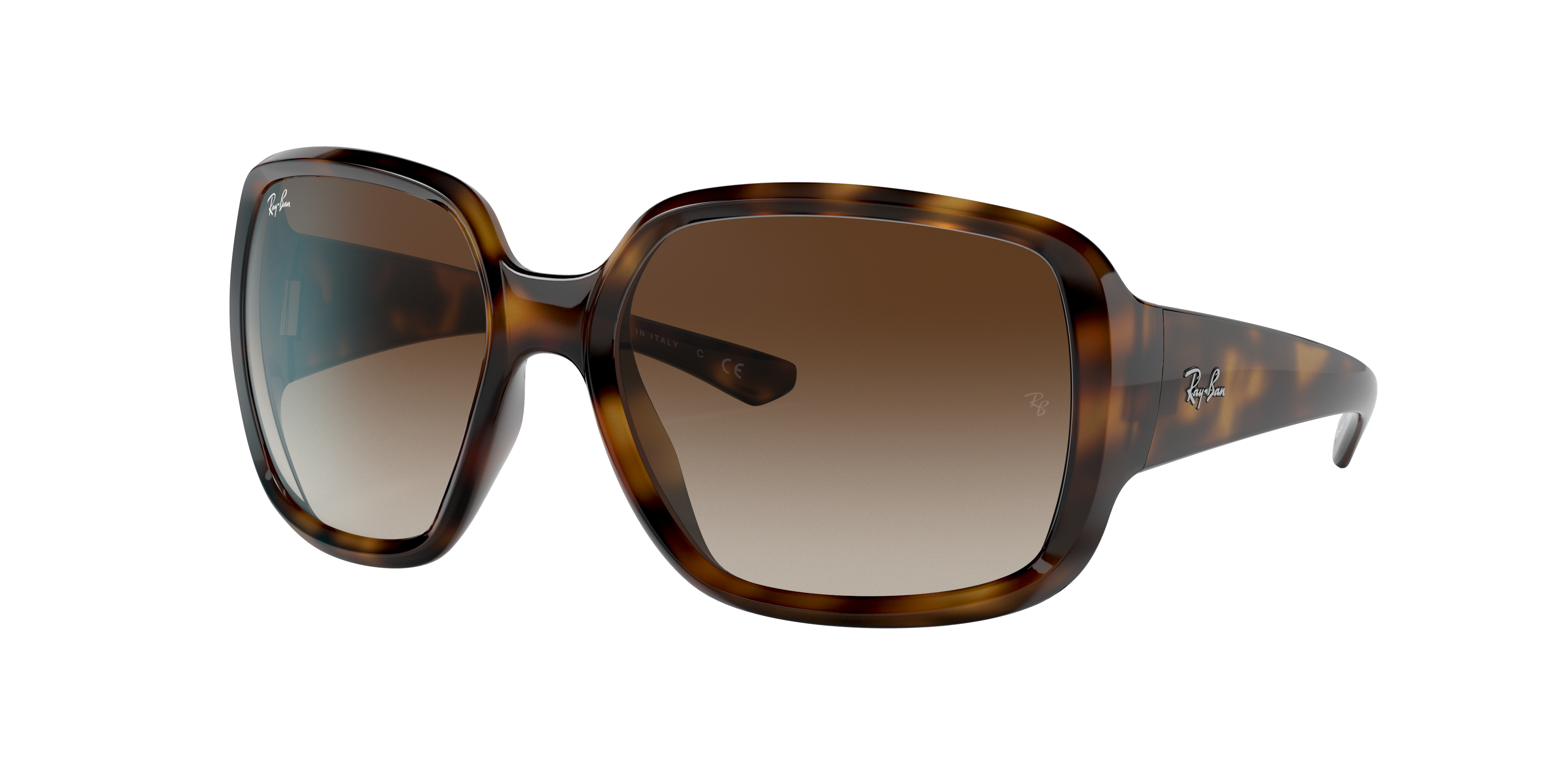 Ray Ban Ray In Brown Gradient