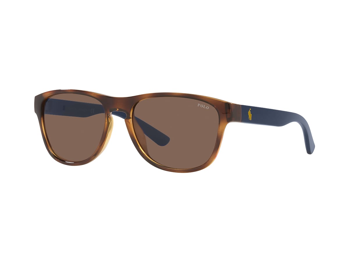 POLO RALPH LAUREN PH4180U Shiny Havana - Unisex Sunglasses, Brown Lens