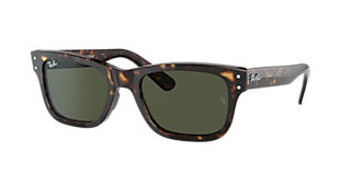 Classic shop wayfarer polarized