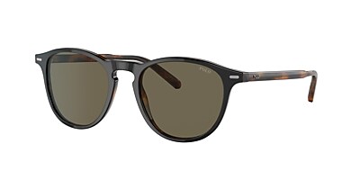 Mens clearance havana sunglasses