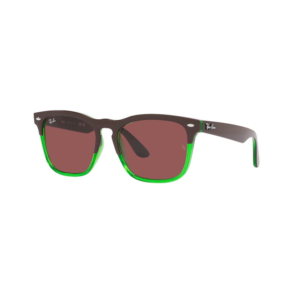 Ray-Ban RB4487 Steve 54 Dark Violet & Dark Brown On