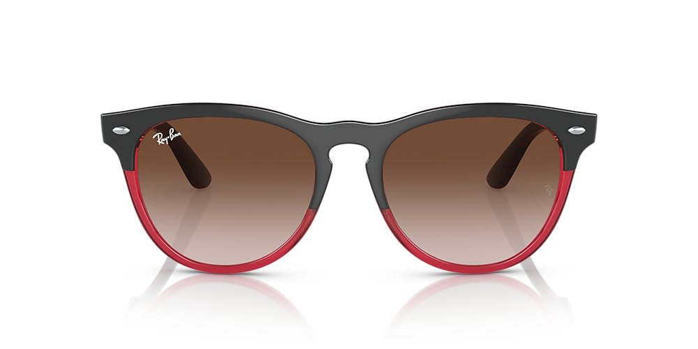 Men's 2024 Sunglasses - IRIS
