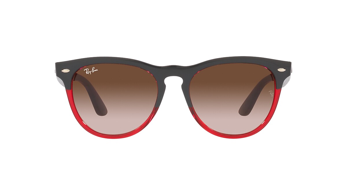 RAY-BAN RB4471 Iris Grey On Transparent Red - Unisex Sunglasses, Brown Lens