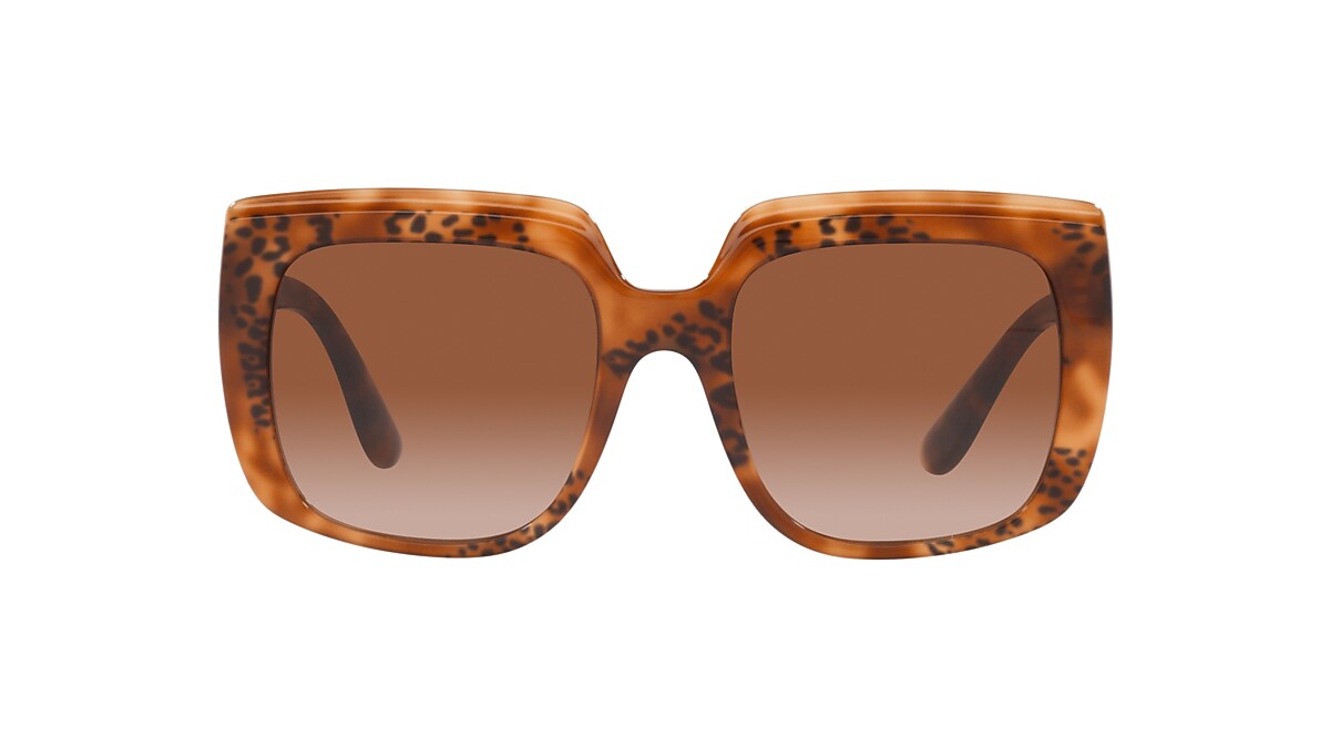 DOLCE&GABBANA DG4414 Havana - Women Luxury Sunglasses, Brown Gradient Lens