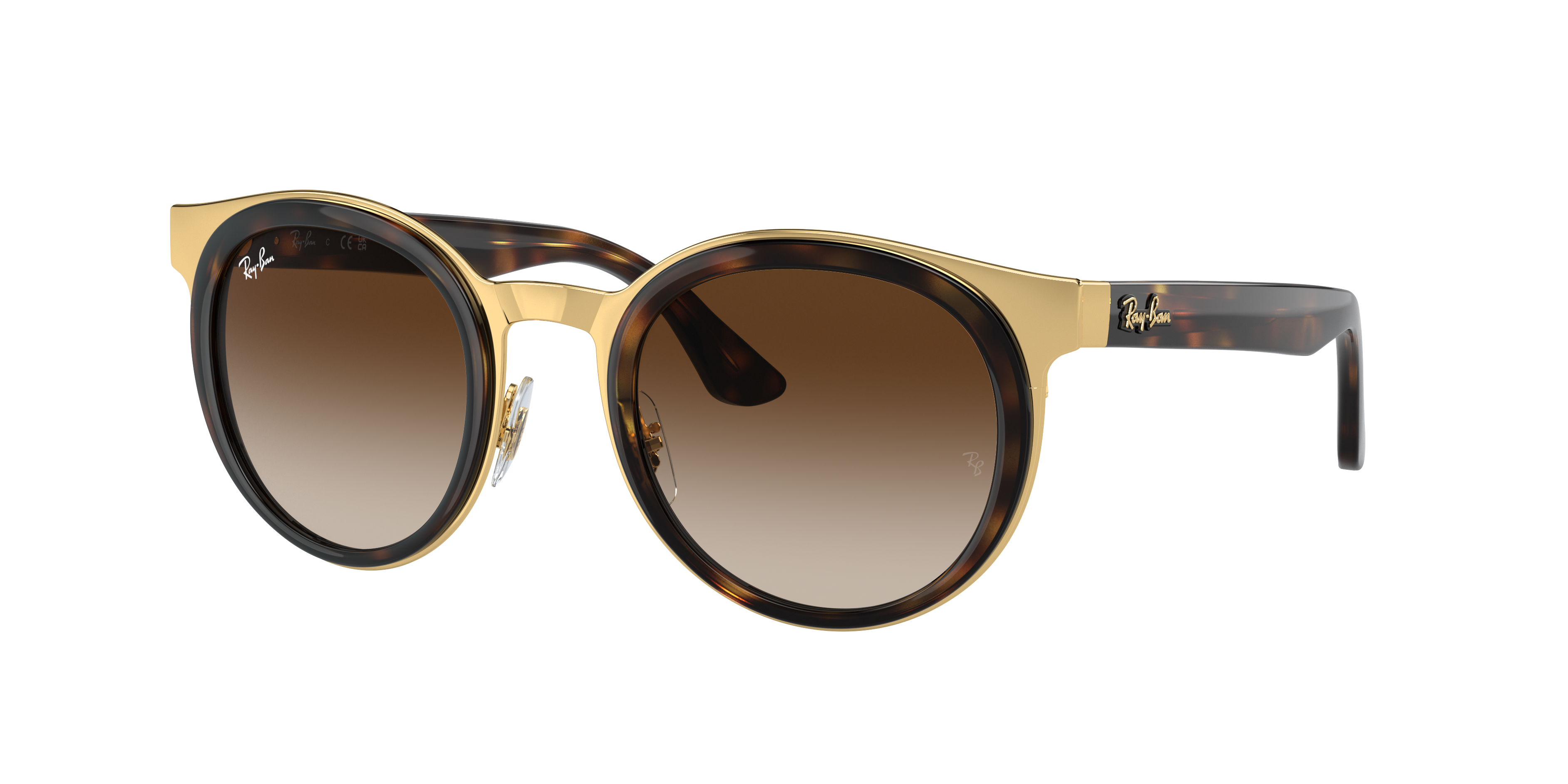 Ray Ban Ray In Brown