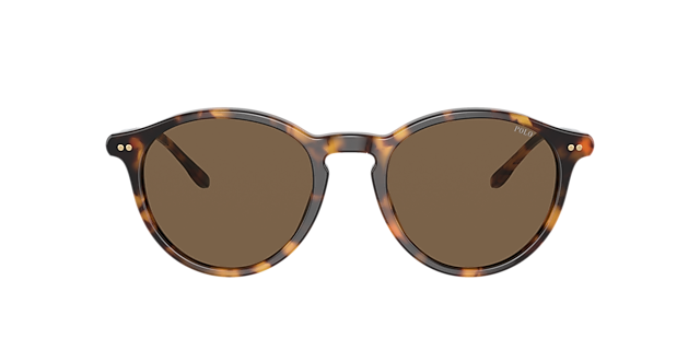 Polo Ralph Lauren PH4193 51 Grey & Shiny Black Sunglasses 
