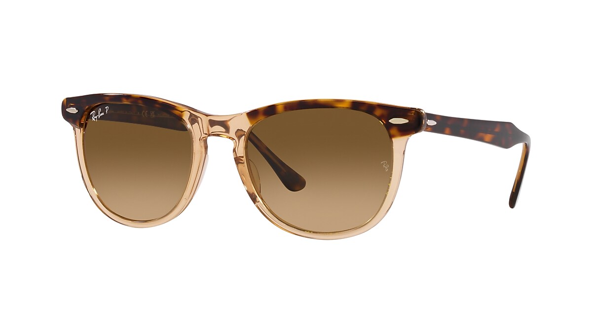 Brown shade clearance sunglasses