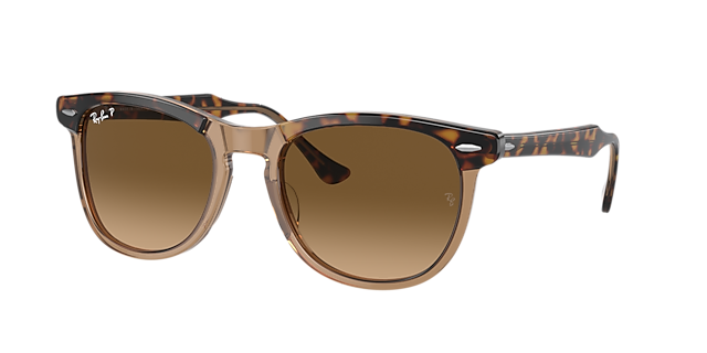 Ray-Ban RB2398 Eagle Eye 56 Brown & Havana On Transparent