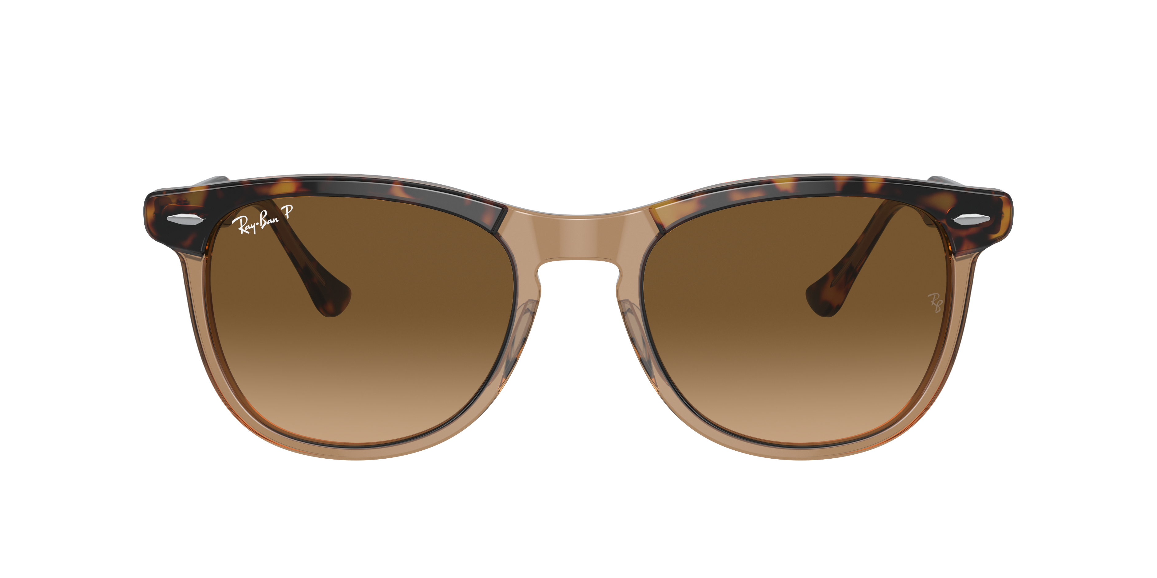 Shop Ray Ban Ray In Brown