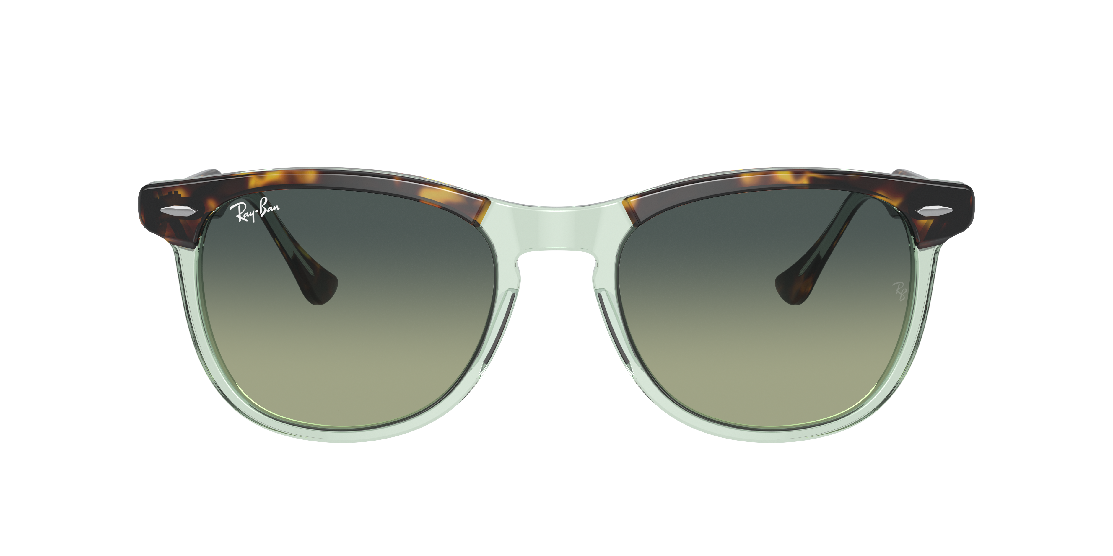 Ray Ban Ray In Green