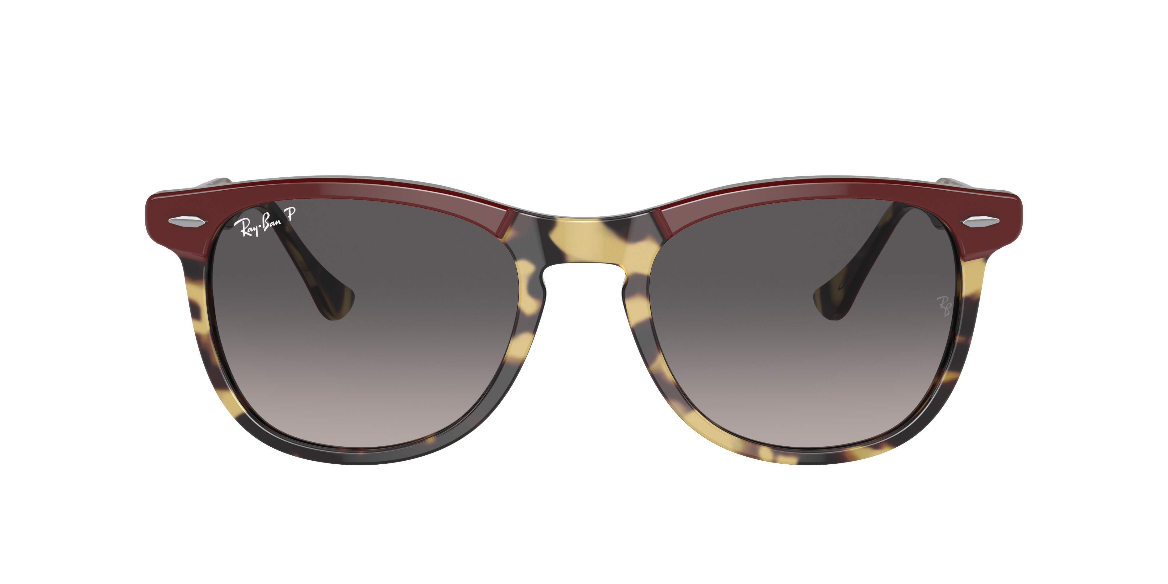 Ray Ban Ray In Grau