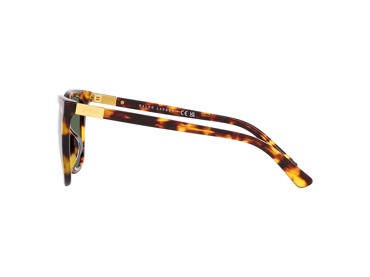 Polo tortoise shell frames best sale