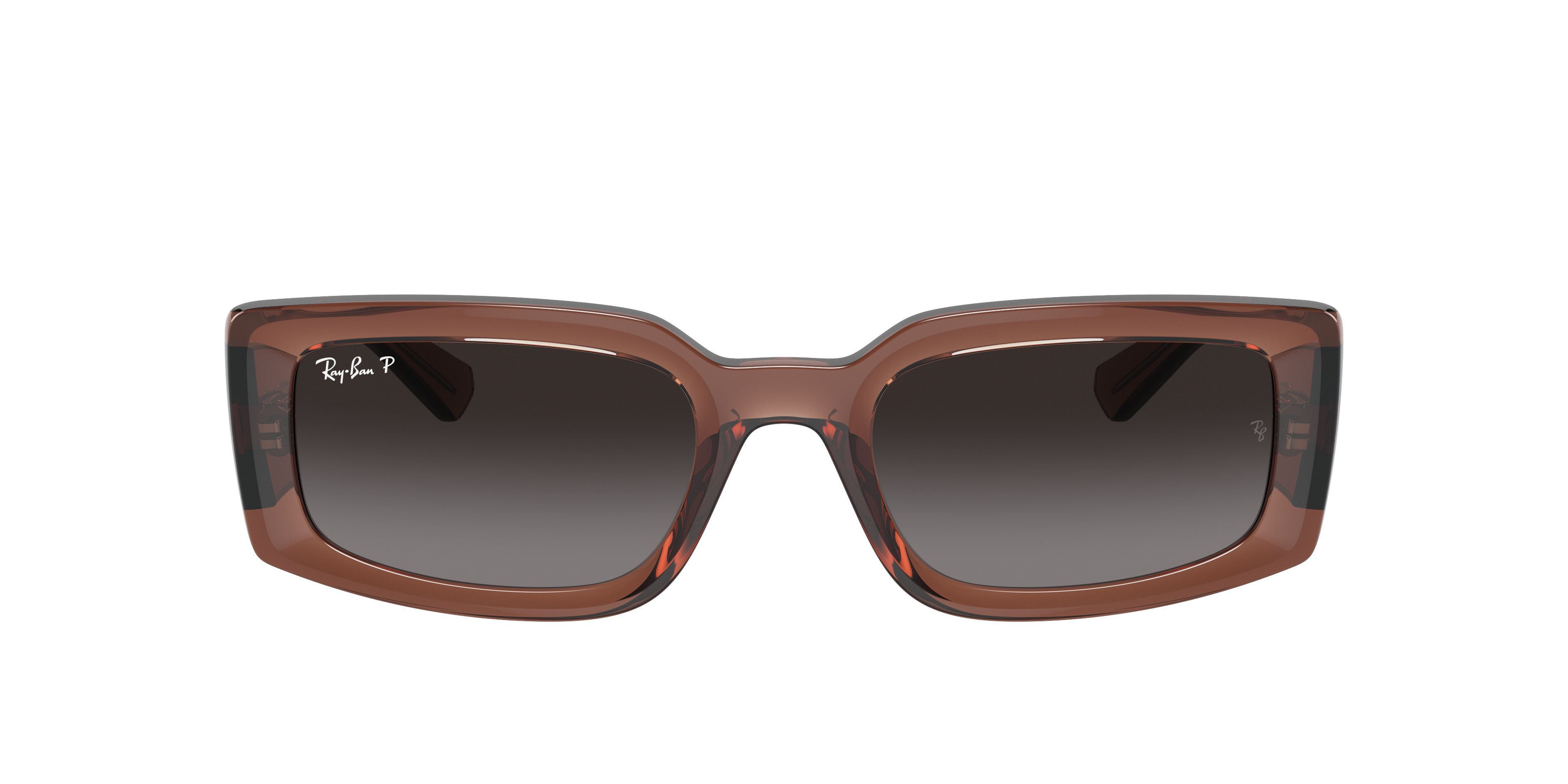 Ray Ban Ray In Grey