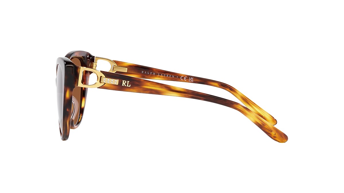 Ralph Lauren RL8215BU 56 Gradient Brown & Stripped Havana