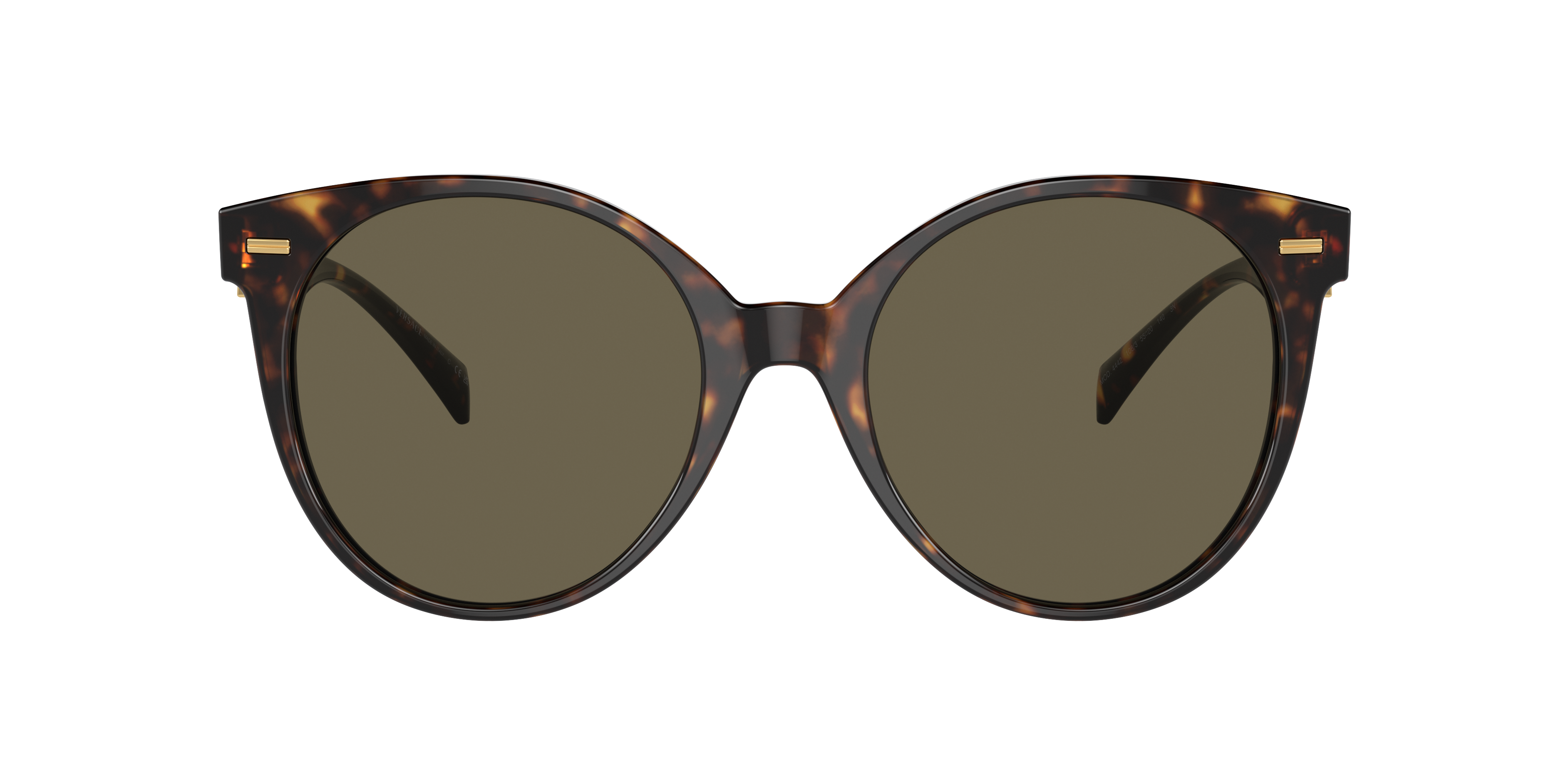 Shop Versace Woman Sunglass Ve4442 In Brown