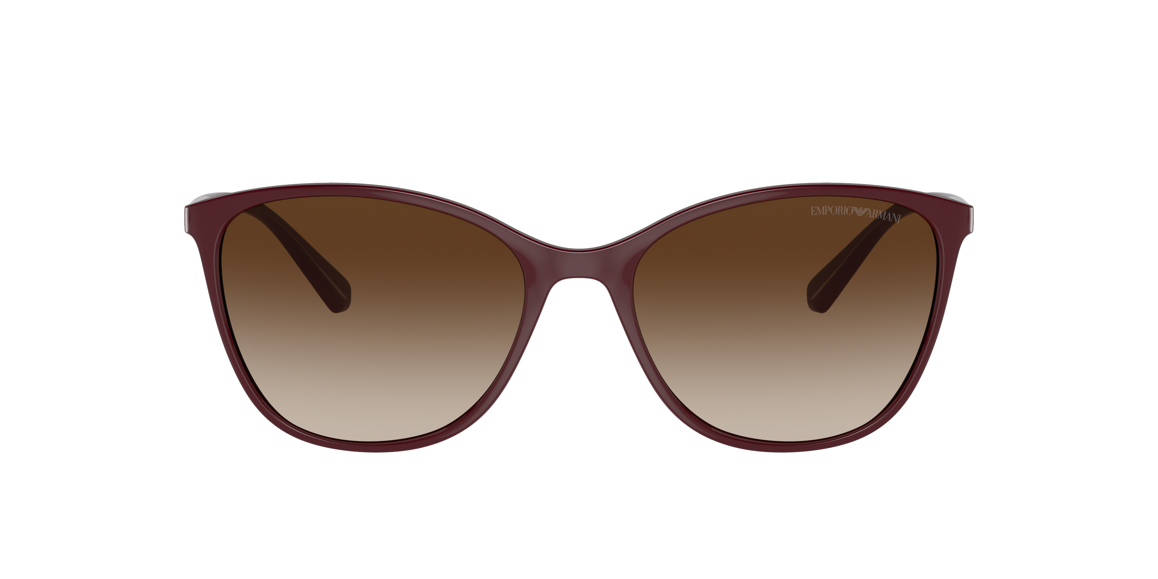 Emporio Armani Frau Sunglass Ea4073 In Brown