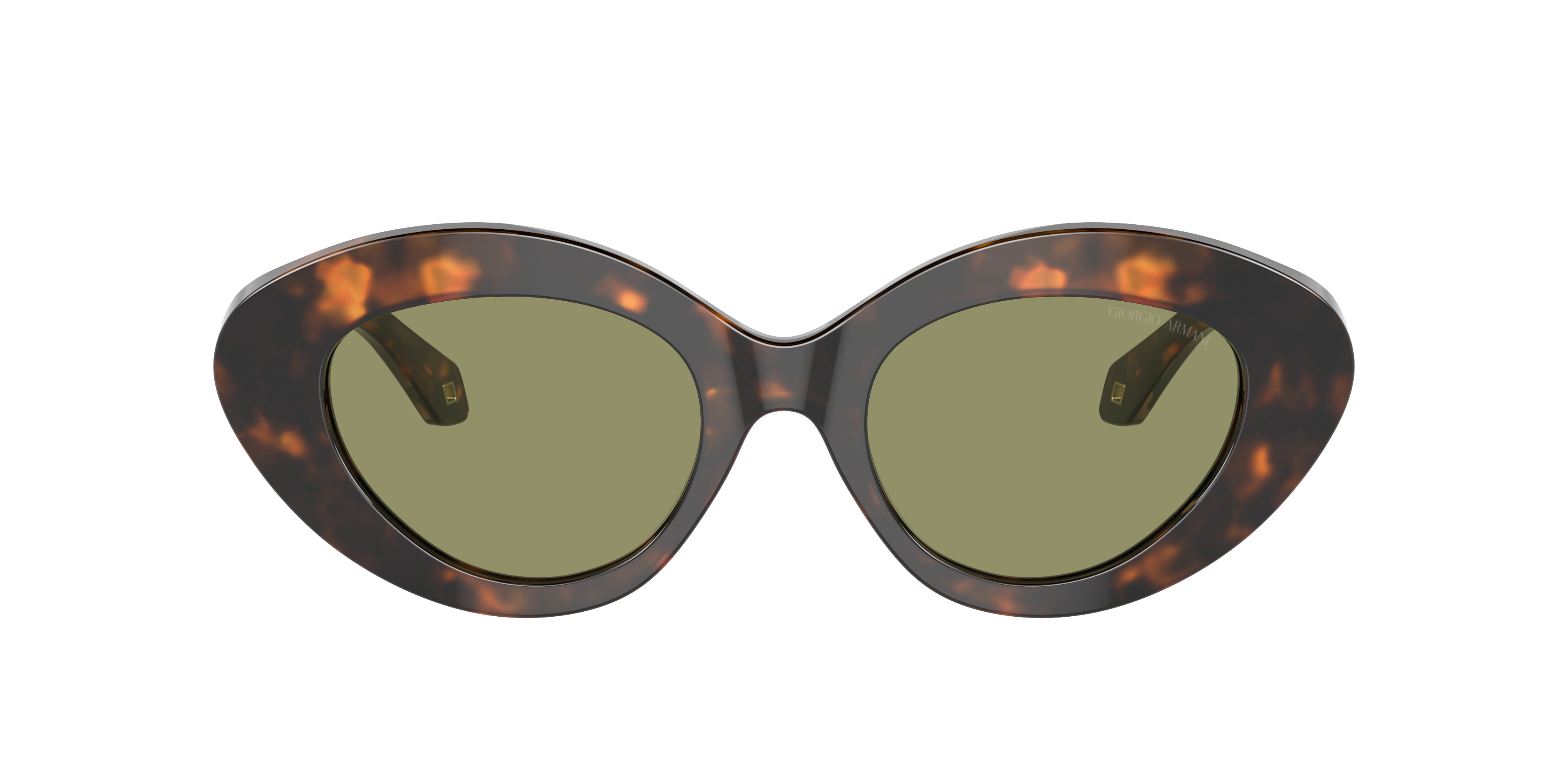 Shop Giorgio Armani Woman Sunglass Ar8188 In Green