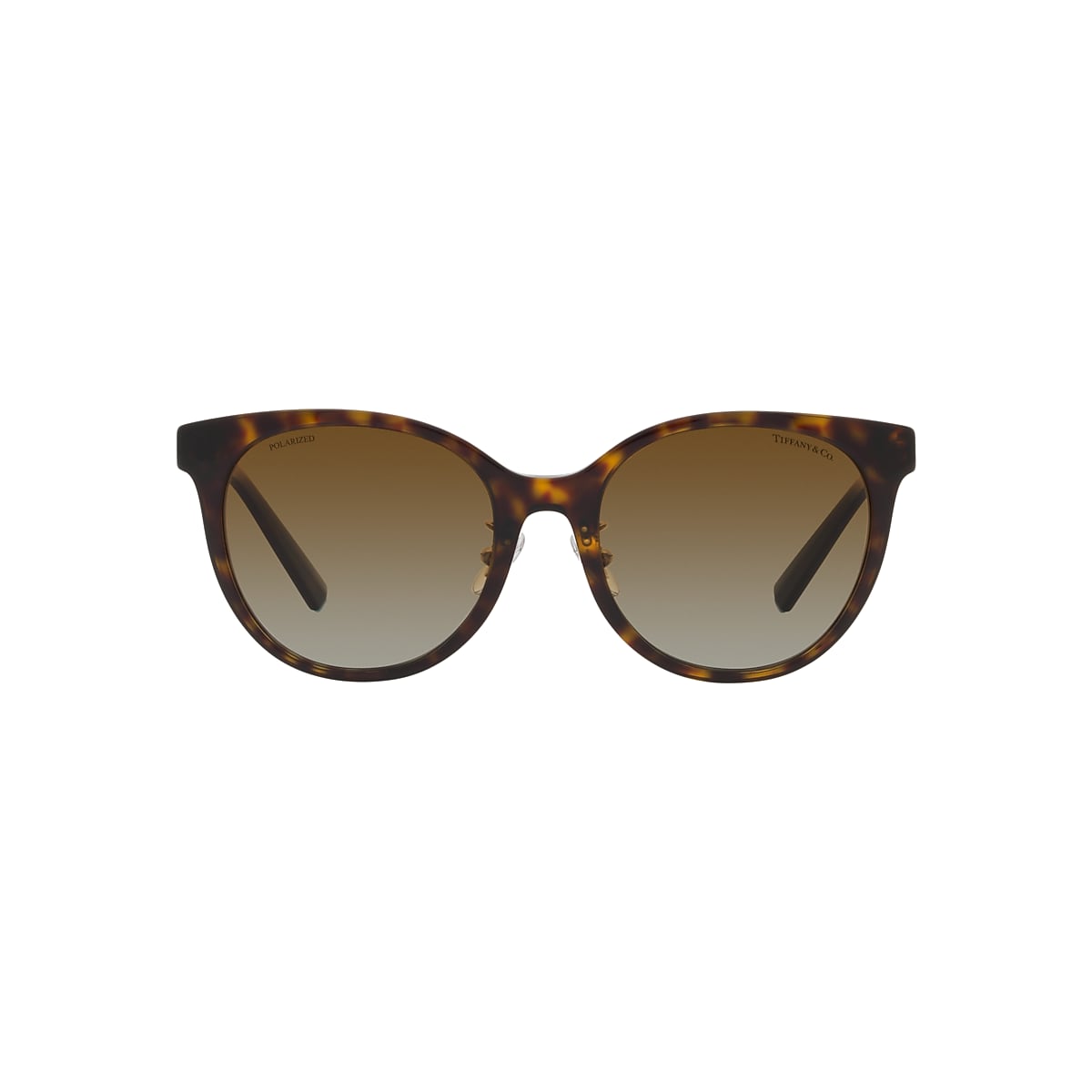 Tiffany & Co. TF4209D L (54 - 19) with Brown lenses and