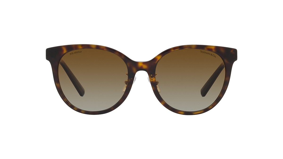 Tiffany & Co. TF4209D L (54 - 19) with Brown lenses and Tortoise