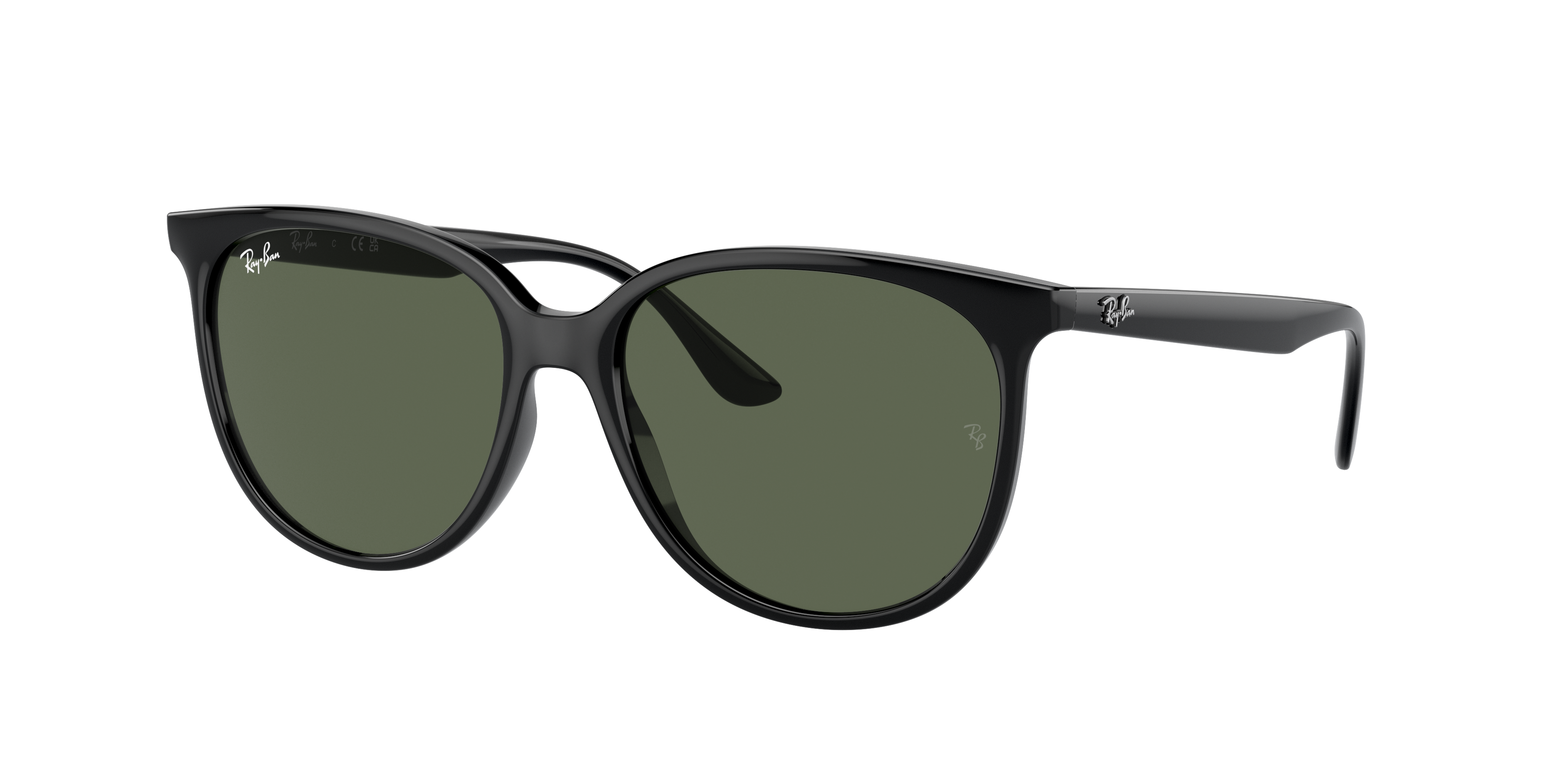 Ray Ban Ray In Dunkelgrün